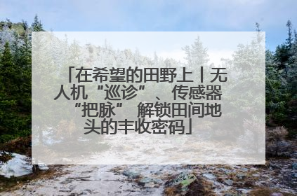 在希望的田野上丨无人机“巡诊”、传感器“把脉” 解锁田间地头的丰收密码