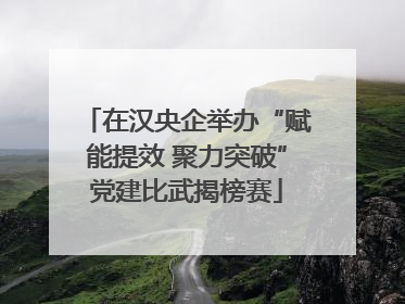 在汉央企举办“赋能提效 聚力突破”党建比武揭榜赛