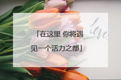 在这里 你将遇见一个活力之都
