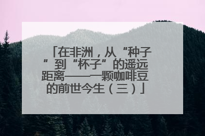 在非洲，从“种子”到“杯子”的遥远距离——一颗咖啡豆的前世今生（三）