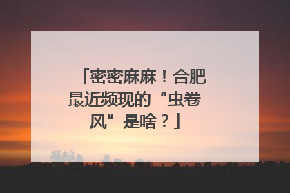密密麻麻！合肥最近频现的“虫卷风”是啥？