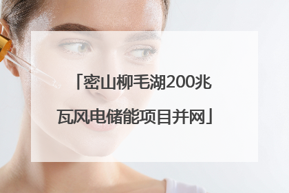密山柳毛湖200兆瓦风电储能项目并网