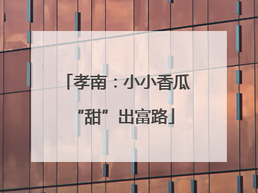 孝南：小小香瓜 “甜”出富路