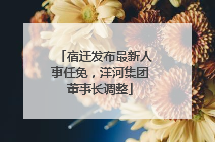 宿迁发布最新人事任免，洋河集团董事长调整