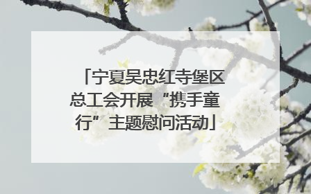 宁夏吴忠红寺堡区总工会开展“携手童行”主题慰问活动