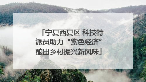 宁夏西夏区 科技特派员助力“紫色经济”酿出乡村振兴新风味