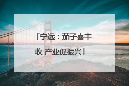 宁远：茄子喜丰收 产业促振兴