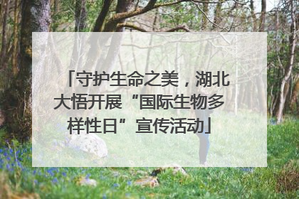 守护生命之美，湖北大悟开展“国际生物多样性日”宣传活动