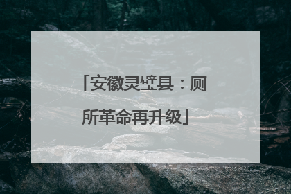 安徽灵璧县：厕所革命再升级