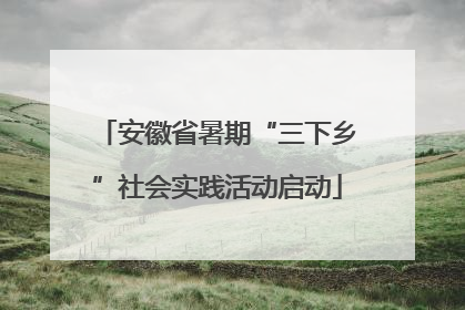 安徽省暑期“三下乡”社会实践活动启动