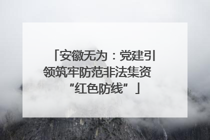 安徽无为：党建引领筑牢防范非法集资“红色防线”