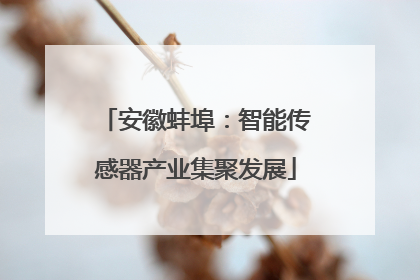 安徽蚌埠：智能传感器产业集聚发展