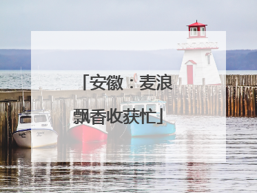 安徽：麦浪飘香收获忙