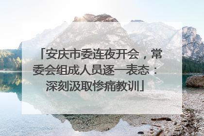 安庆市委连夜开会，常委会组成人员逐一表态：深刻汲取惨痛教训
