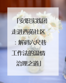 安职实践团走进西苑社区：解码六尺巷工作法的温情治理之道