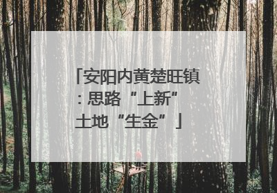 安阳内黄楚旺镇：思路“上新” 土地“生金”