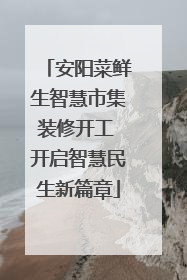 安阳菜鲜生智慧市集装修开工 开启智慧民生新篇章