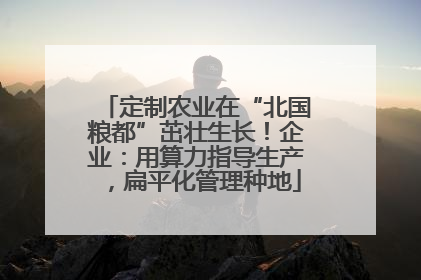 定制农业在“北国粮都”茁壮生长！企业：用算力指导生产，扁平化管理种地