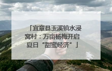 宜章县玉溪镇水浸窝村：万亩杨梅开启夏日“甜蜜经济”