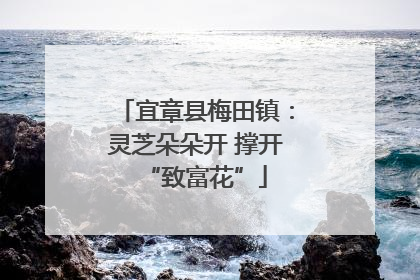 宜章县梅田镇：灵芝朵朵开 撑开“致富花”