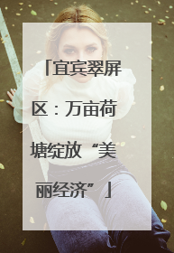 宜宾翠屏区：万亩荷塘绽放“美丽经济”