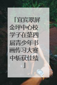 宜宾翠屏金坪中心校学子在第四届青少年书画传习大赛中斩获佳绩