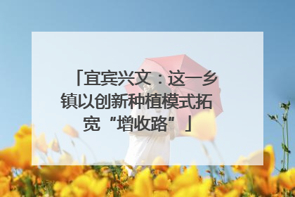宜宾兴文：这一乡镇以创新种植模式拓宽“增收路”