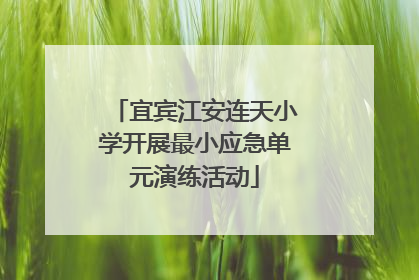宜宾江安连天小学开展最小应急单元演练活动