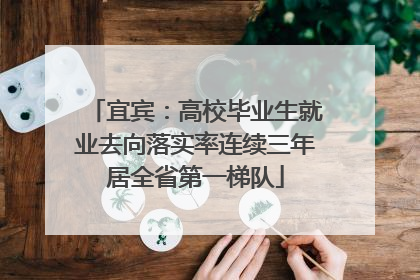 宜宾：高校毕业生就业去向落实率连续三年居全省第一梯队