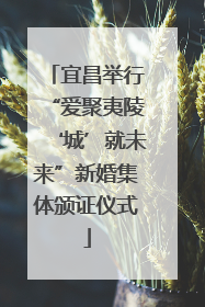 宜昌举行“爱聚夷陵‘城’就未来”新婚集体颁证仪式