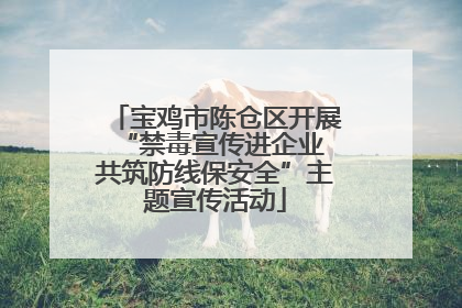 宝鸡市陈仓区开展“禁毒宣传进企业 共筑防线保安全”主题宣传活动