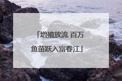 增殖放流 百万鱼苗跃入富春江