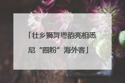 壮乡狮舞粤韵亮相悉尼“圈粉”海外客