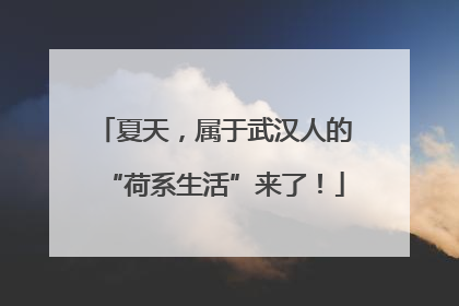 夏天，属于武汉人的“荷系生活”来了！