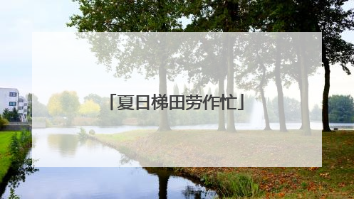 夏日梯田劳作忙