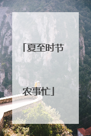 夏至时节农事忙