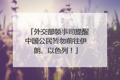 外交部领事司提醒中国公民暂勿前往伊朗、以色列！