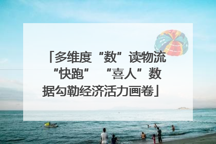 多维度“数”读物流“快跑” “喜人”数据勾勒经济活力画卷
