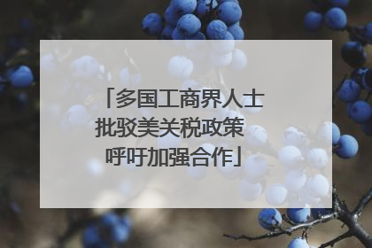 多国工商界人士批驳美关税政策 呼吁加强合作