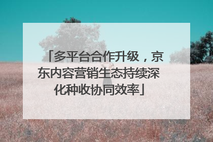 多平台合作升级，京东内容营销生态持续深化种收协同效率
