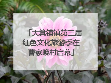 大箕铺镇第三届红色文化旅游季在曹家晚村启幕