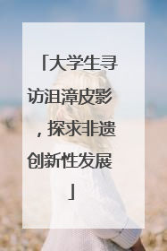 大学生寻访沮漳皮影，探求非遗创新性发展
