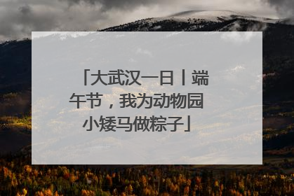 大武汉一日丨端午节，我为动物园小矮马做粽子