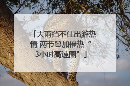 大雨挡不住出游热情 两节叠加催热“3小时高速圈”