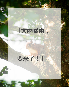 大雨暴雨，要来了！