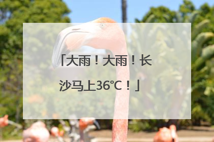 大雨！大雨！长沙马上36℃！