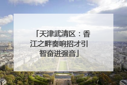 天津武清区：香江之畔奏响招才引智奋进强音