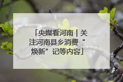 央媒看河南｜关注河南县乡消费“焕新”记等内容