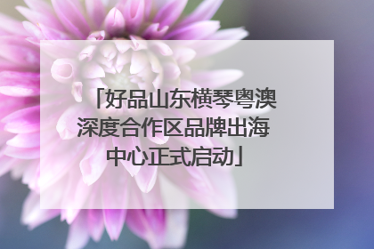 好品山东横琴粤澳深度合作区品牌出海中心正式启动