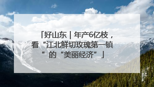 好山东｜年产6亿枝，看“江北鲜切玫瑰第一镇”的“美丽经济”